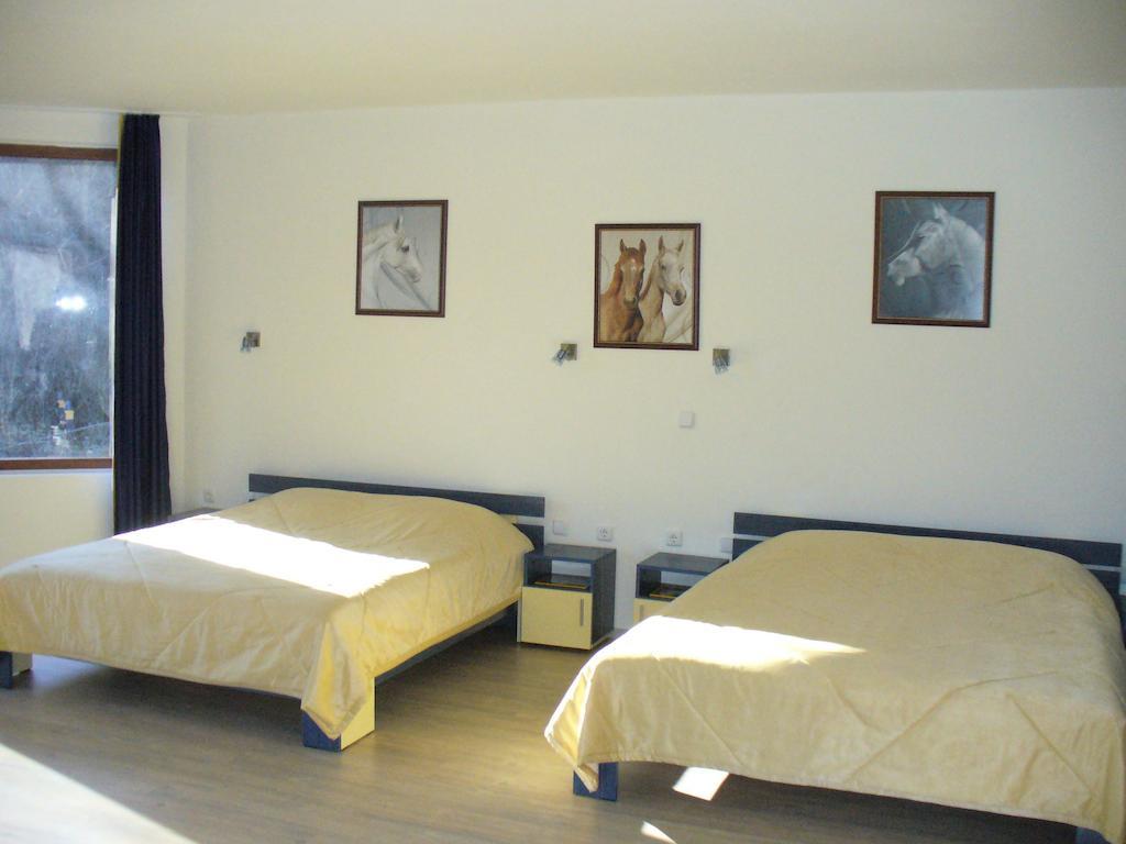 Guest House Alfa Daniel Balkanets  Rom bilde
