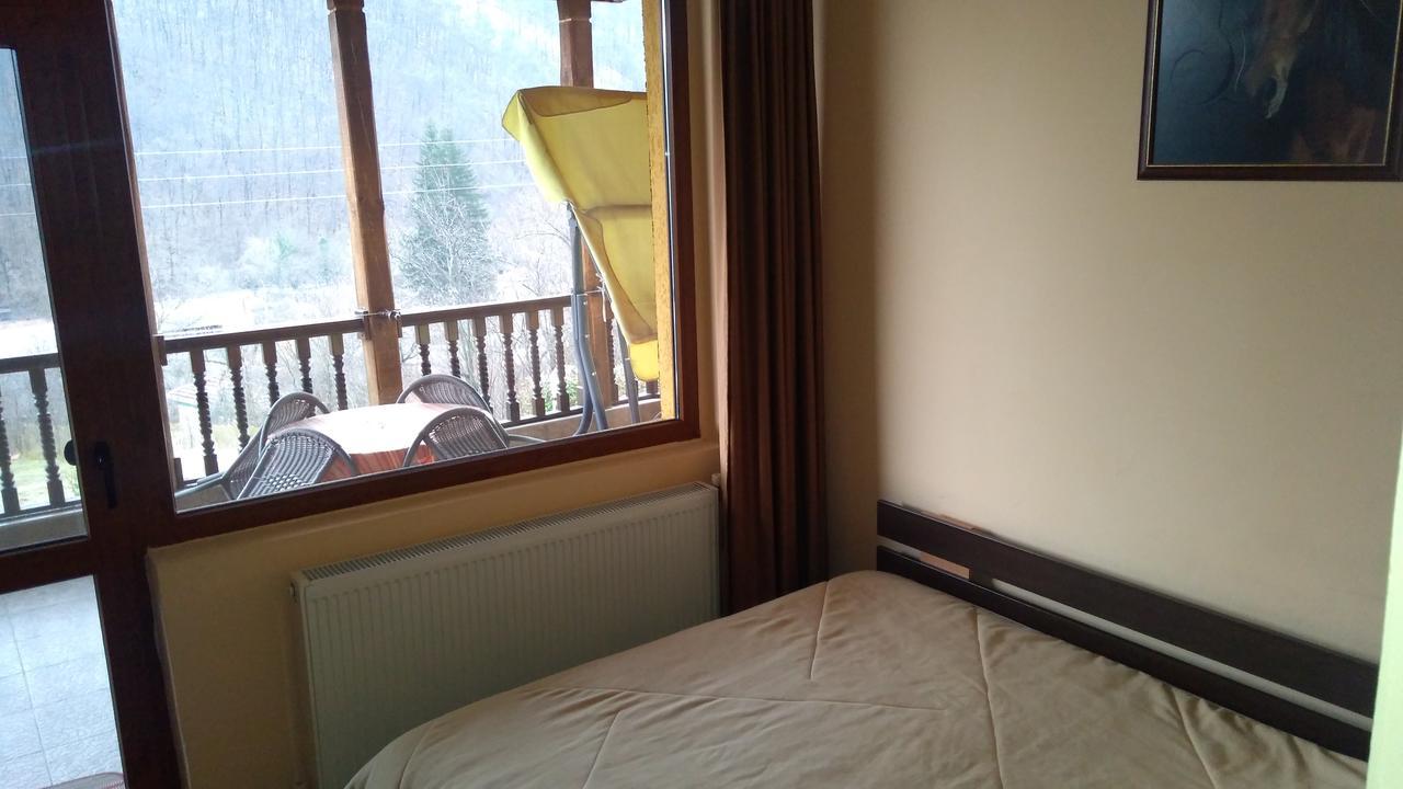 Guest House Alfa Daniel Balkanets  Eksteriør bilde